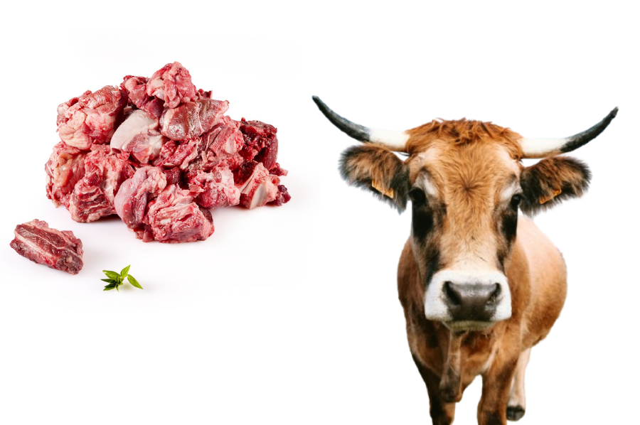 Botlhale%20Ba%20Rrammutla%20Farms